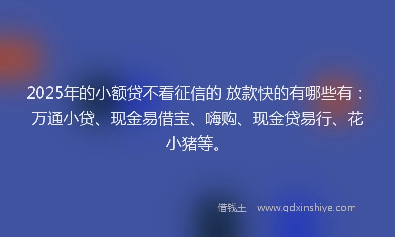 2025年的小额贷不看征信的 放款快的有哪些有：万通小贷、现金易借宝、嗨购、现金贷易行、花小猪等。