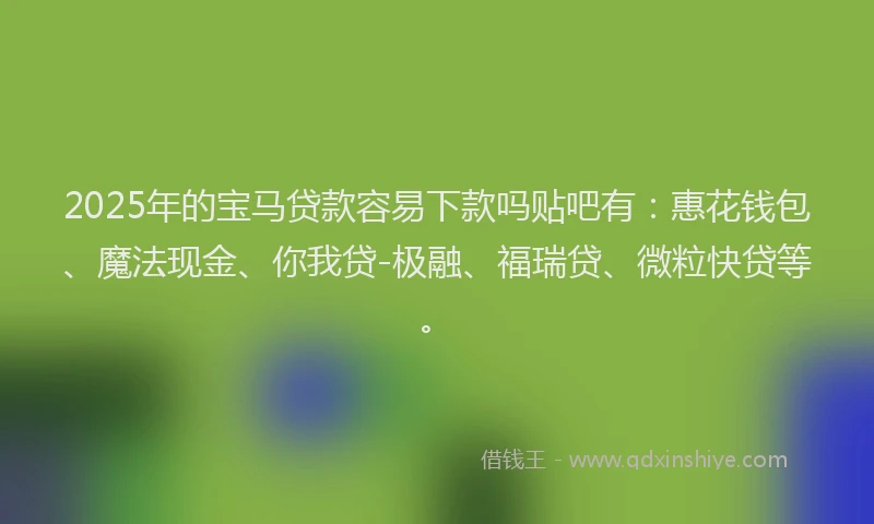 2025年的宝马贷款容易下款吗贴吧有：惠花钱包、魔法现金、你我贷-极融、福瑞贷、微粒快贷等。