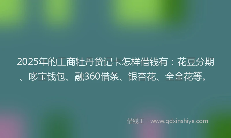 2025年的工商牡丹贷记卡怎样借钱有：花豆分期、哆宝钱包、融360借条、银杏花、全金花等。