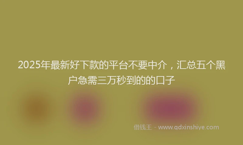 2025年最新好下款的平台不要中介，汇总五个黑户急需三万秒到的的口子