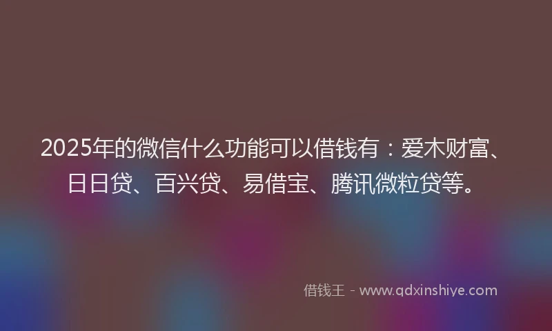 2025年的微信什么功能可以借钱有：爱木财富、日日贷、百兴贷、易借宝、腾讯微粒贷等。