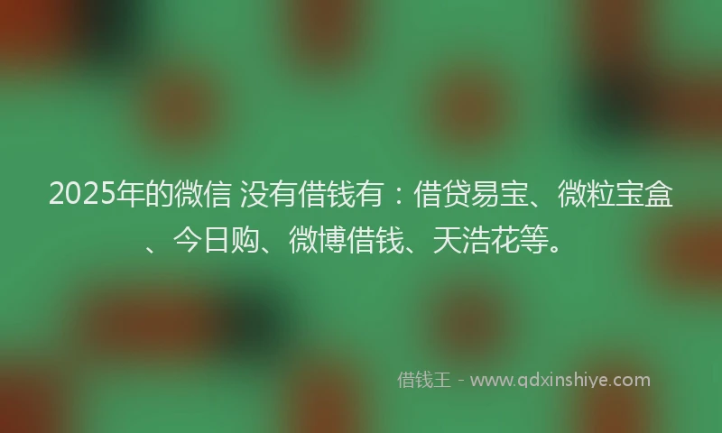 2025年的微信 没有借钱有：借贷易宝、微粒宝盒、今日购、微博借钱、天浩花等。