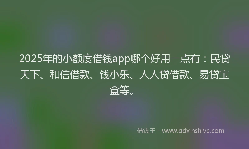 2025年的小额度借钱app哪个好用一点有：民贷天下、和信借款、钱小乐、人人贷借款、易贷宝盒等。