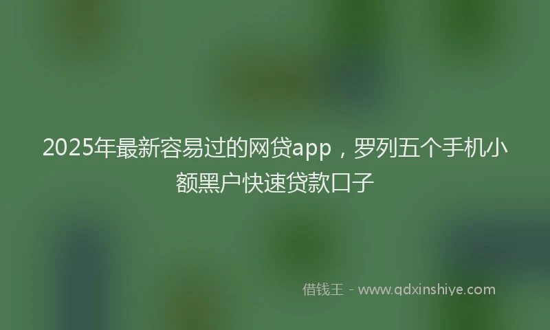 2025年最新容易过的网贷app，罗列五个手机小额黑户快速贷款口子