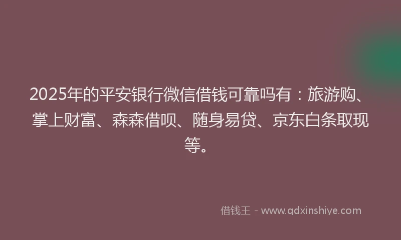 2025年的平安银行微信借钱可靠吗有：旅游购、掌上财富、森森借呗、随身易贷、京东白条取现等。