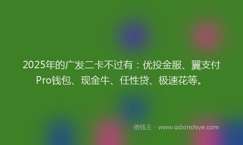 2025年的广发二卡不过有：优投金服、翼支付Pro钱包、现金牛、任性贷、极速花等。