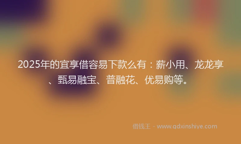 2025年的宜享借容易下款么有：薪小用、龙龙享、甄易融宝、普融花、优易购等。