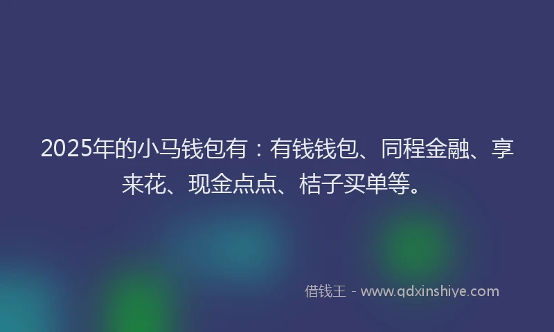 2025年的小马钱包有：有钱钱包、同程金融、享来花、现金点点、桔子买单等。