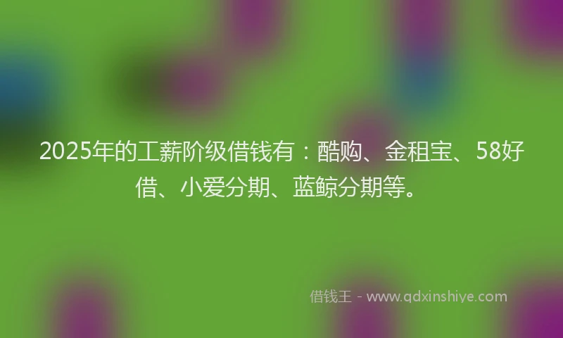 2025年的工薪阶级借钱有：酷购、金租宝、58好借、小爱分期、蓝鲸分期等。