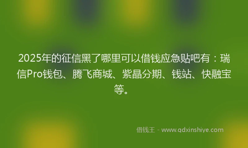 2025年的征信黑了哪里可以借钱应急贴吧有：瑞信Pro钱包、腾飞商城、紫晶分期、钱站、快融宝等。