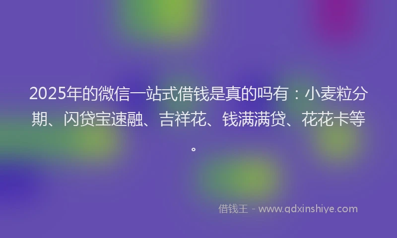 2025年的微信一站式借钱是真的吗有：小麦粒分期、闪贷宝速融、吉祥花、钱满满贷、花花卡等。