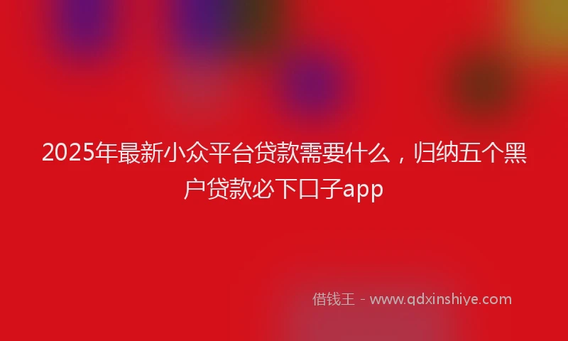 2025年最新小众平台贷款需要什么，归纳五个黑户贷款必下口子app