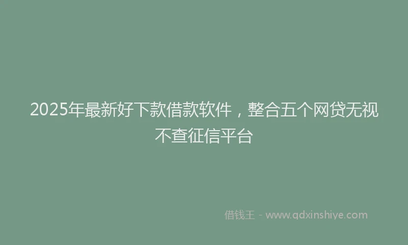 2025年最新好下款借款软件，整合五个网贷无视不查征信平台