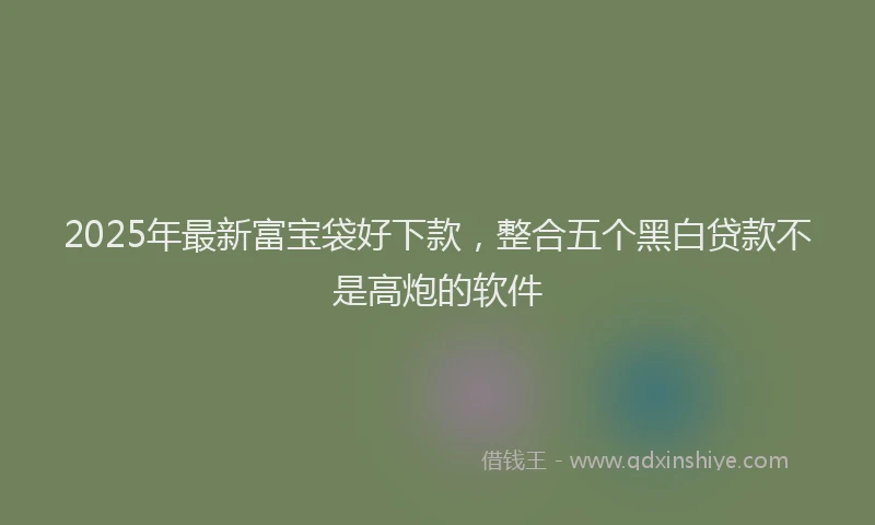 2025年最新富宝袋好下款，整合五个黑白贷款不是高炮的软件
