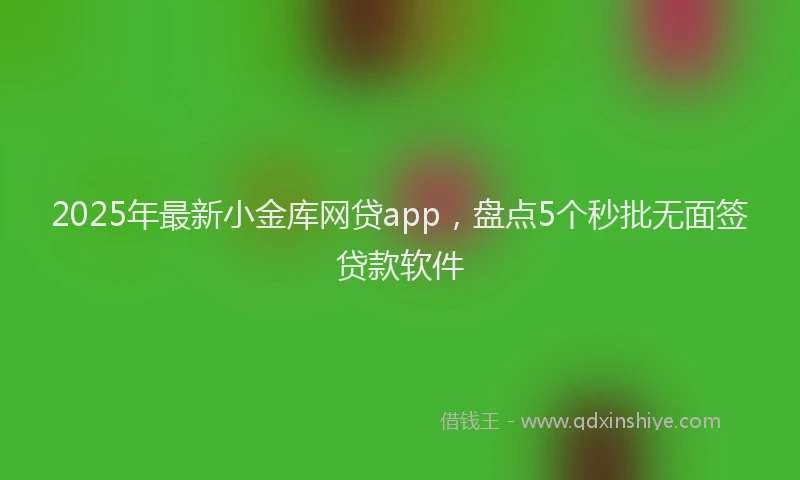 2025年最新小金库网贷app，盘点5个秒批无面签贷款软件