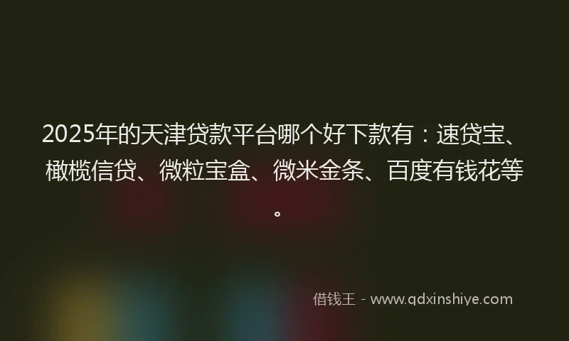2025年的天津贷款平台哪个好下款有：速贷宝、橄榄信贷、微粒宝盒、微米金条、百度有钱花等。