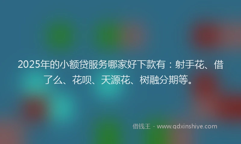 2025年的小额贷服务哪家好下款有：射手花、借了么、花呗、天源花、树融分期等。