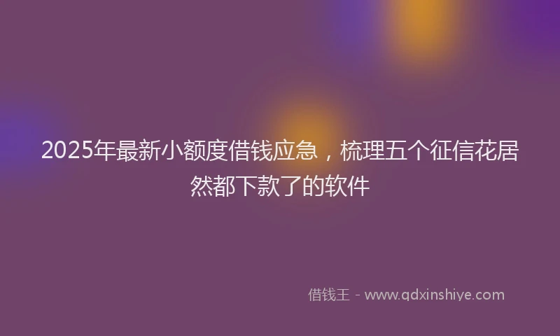 2025年最新小额度借钱应急，梳理五个征信花居然都下款了的软件