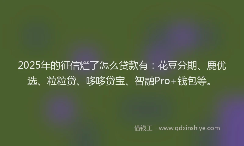 2025年的征信烂了怎么贷款有：花豆分期、鹿优选、粒粒贷、哆哆贷宝、智融Pro+钱包等。
