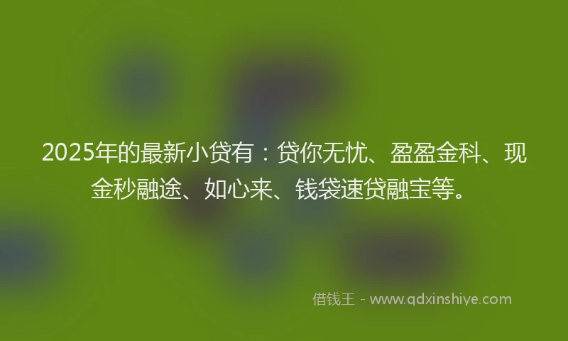 2025年的最新小贷有：贷你无忧、盈盈金科、现金秒融途、如心来、钱袋速贷融宝等。