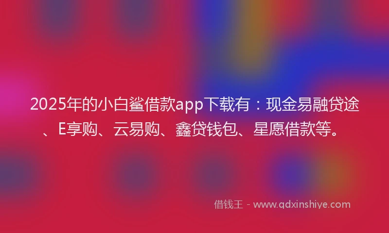 2025年的小白鲨借款app下载有：现金易融贷途、E享购、云易购、鑫贷钱包、星愿借款等。