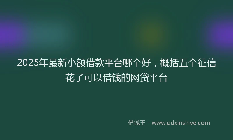 2025年最新小额借款平台哪个好，概括五个征信花了可以借钱的网贷平台