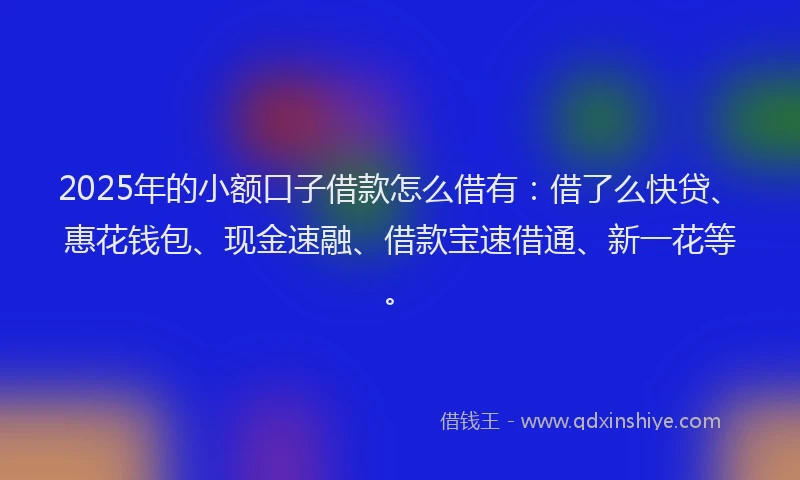 2025年的小额口子借款怎么借有：借了么快贷、惠花钱包、现金速融、借款宝速借通、新一花等。