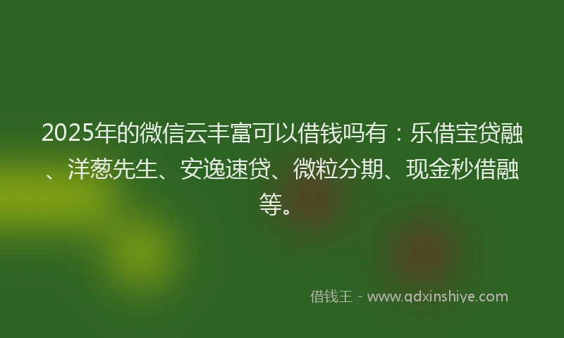 2025年的微信云丰富可以借钱吗有：乐借宝贷融、洋葱先生、安逸速贷、微粒分期、现金秒借融等。