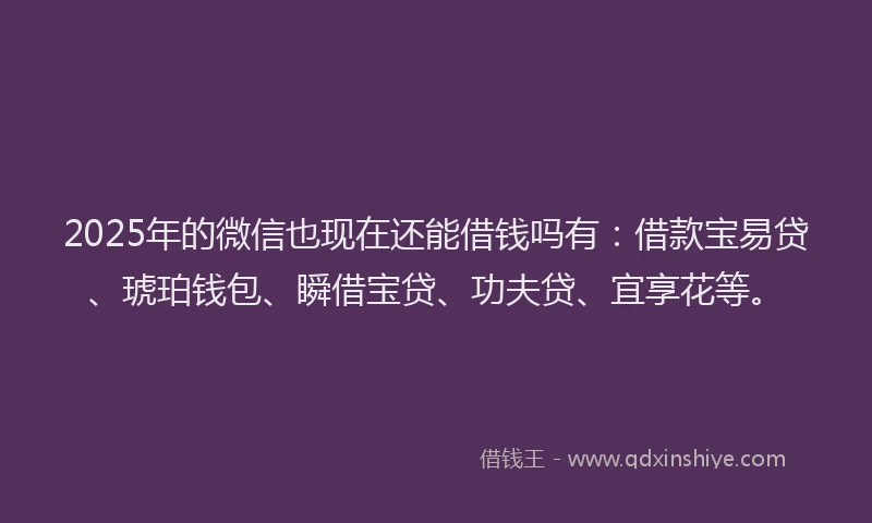 2025年的微信也现在还能借钱吗有：借款宝易贷、琥珀钱包、瞬借宝贷、功夫贷、宜享花等。