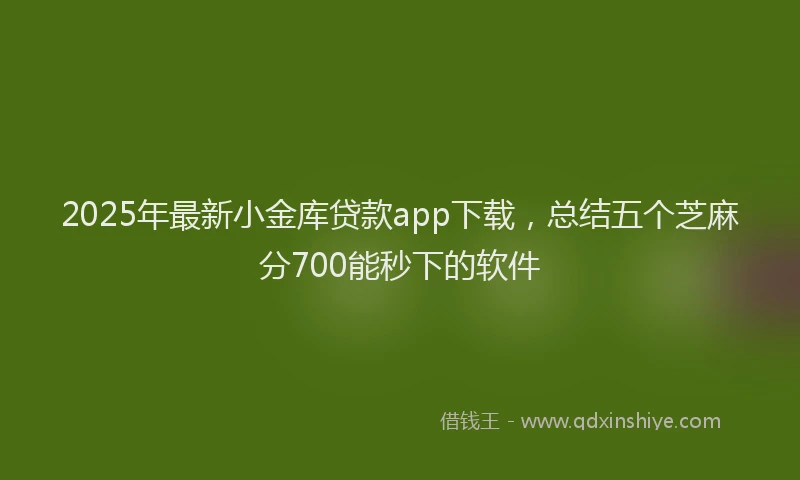 2025年最新小金库贷款app下载，总结五个芝麻分700能秒下的软件