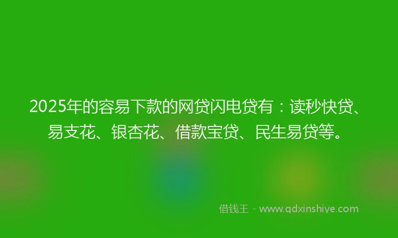 2025年的容易下款的网贷闪电贷有：读秒快贷、易支花、银杏花、借款宝贷、民生易贷等。
