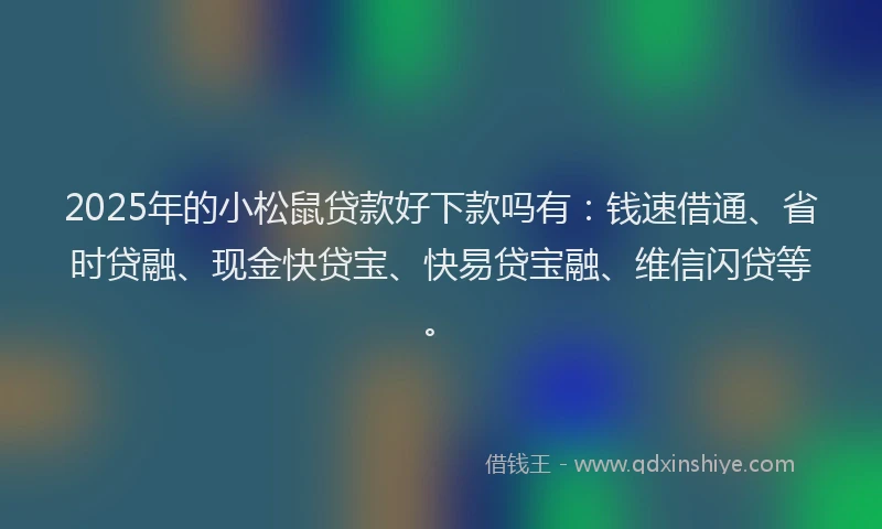 2025年的小松鼠贷款好下款吗有：钱速借通、省时贷融、现金快贷宝、快易贷宝融、维信闪贷等。