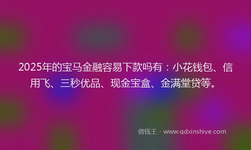 2025年的宝马金融容易下款吗有：小花钱包、信用飞、三秒优品、现金宝盒、金满堂贷等。