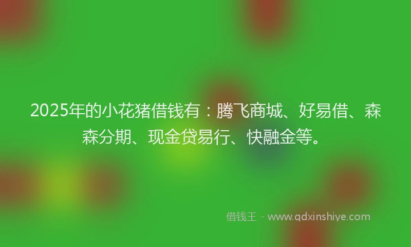 2025年的小花猪借钱有：腾飞商城、好易借、森森分期、现金贷易行、快融金等。