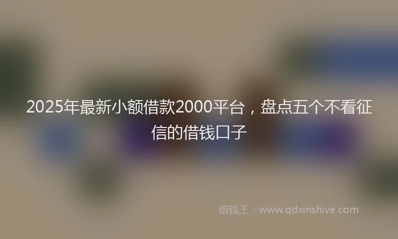 2025年最新小额借款2000平台，盘点五个不看征信的借钱口子