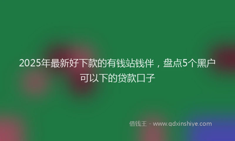 2025年最新好下款的有钱站钱伴，盘点5个黑户可以下的贷款口子