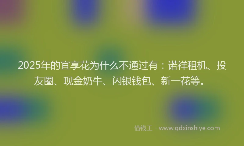 2025年的宜享花为什么不通过有：诺祥租机、投友圈、现金奶牛、闪银钱包、新一花等。
