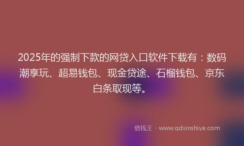 2025年的强制下款的网贷入口软件下载有：数码潮享玩、超易钱包、现金贷途、石榴钱包、京东白条取现等。