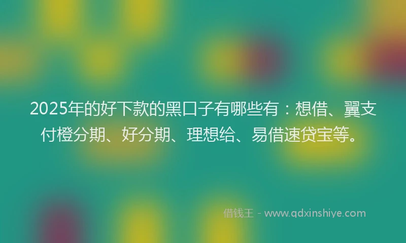 2025年的好下款的黑口子有哪些有：想借、翼支付橙分期、好分期、理想给、易借速贷宝等。