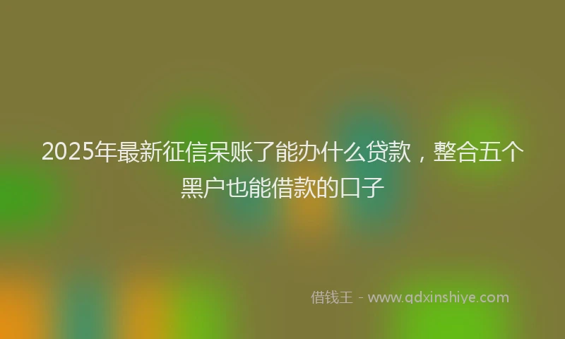 2025年最新征信呆账了能办什么贷款，整合五个黑户也能借款的口子