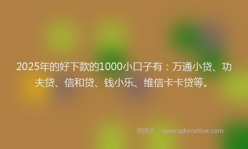 2025年的好下款的1000小口子有：万通小贷、功夫贷、信和贷、钱小乐、维信卡卡贷等。