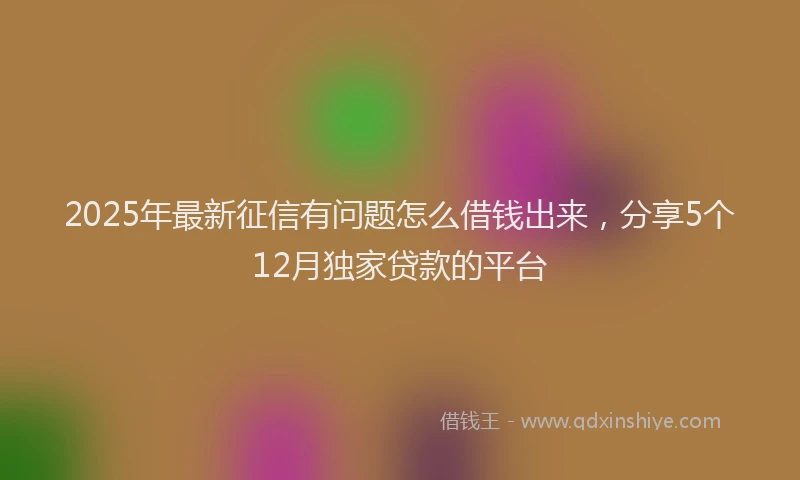 2025年最新征信有问题怎么借钱出来，分享5个12月独家贷款的平台