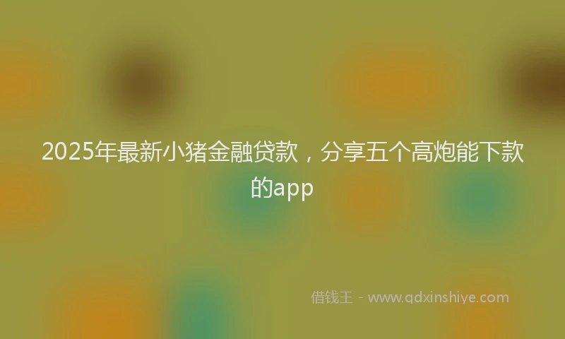 2025年最新小猪金融贷款，分享五个高炮能下款的app