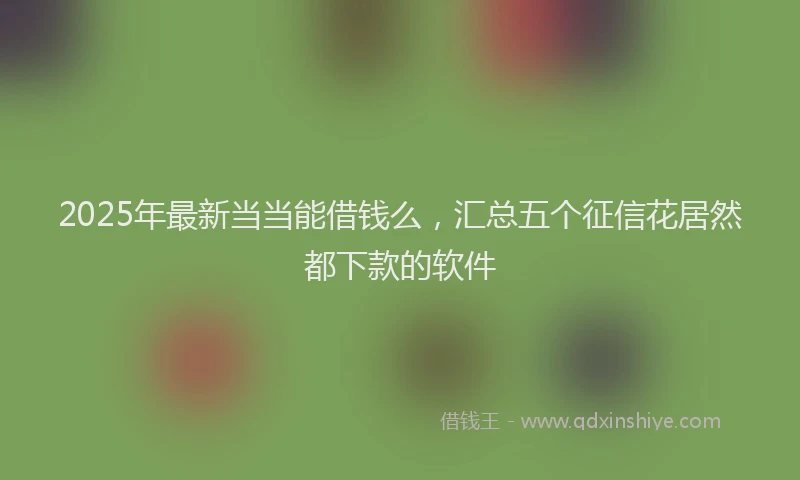 2025年最新当当能借钱么，汇总五个征信花居然都下款的软件