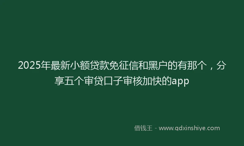 2025年最新小额贷款免征信和黑户的有那个，分享五个审贷口子审核加快的app