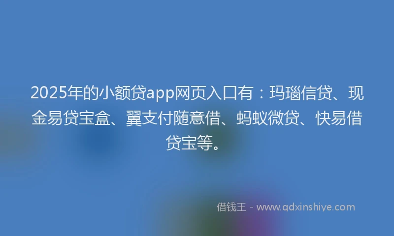 2025年的小额贷app网页入口有：玛瑙信贷、现金易贷宝盒、翼支付随意借、蚂蚁微贷、快易借贷宝等。
