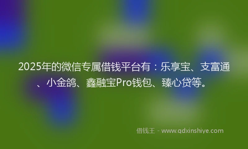 2025年的微信专属借钱平台有：乐享宝、支富通、小金鸽、鑫融宝Pro钱包、臻心贷等。