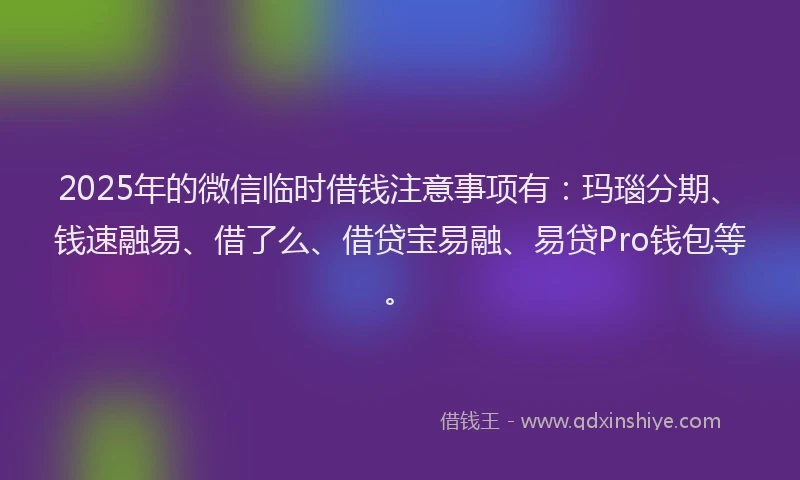2025年的微信临时借钱注意事项有：玛瑙分期、钱速融易、借了么、借贷宝易融、易贷Pro钱包等。