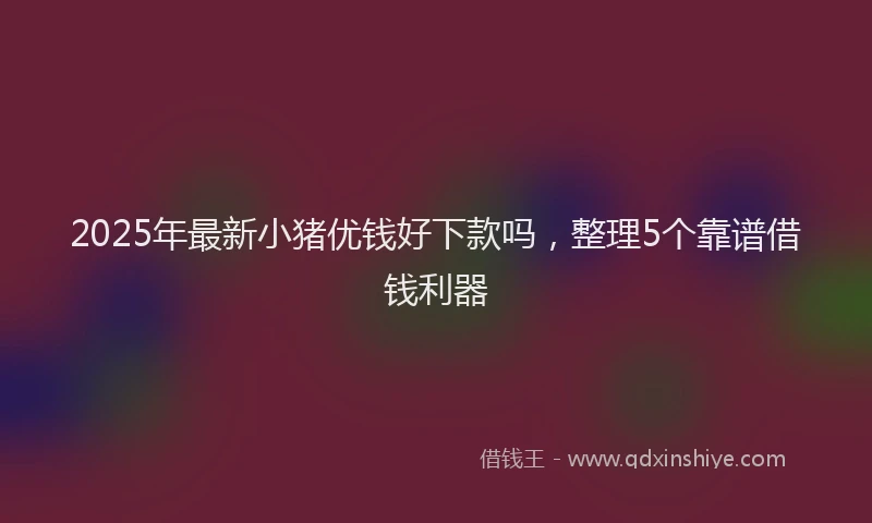 2025年最新小猪优钱好下款吗，整理5个靠谱借钱利器