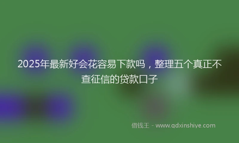 2025年最新好会花容易下款吗，整理五个真正不查征信的贷款口子